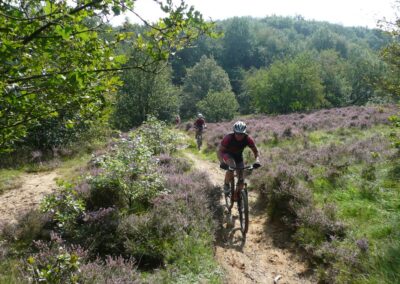 1 Trail Venture - MTB weekend Gooi en Heuvelrug - heide