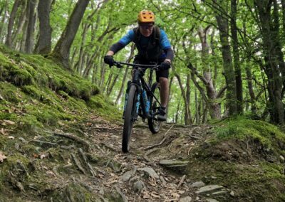MTB routes Eifel