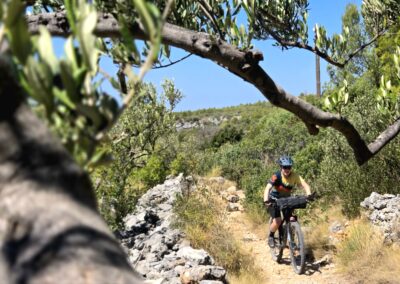 Bike & boat vakantie
