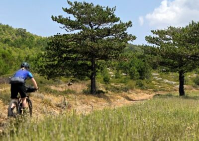 MTB vakantie Dalmatië